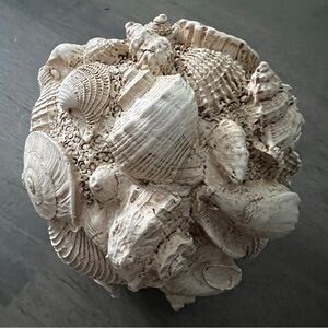 Seashell Art Sculpture in Cream